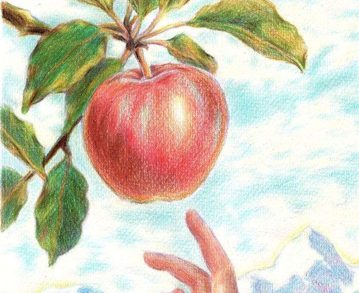 El Primer Toque de Marlene