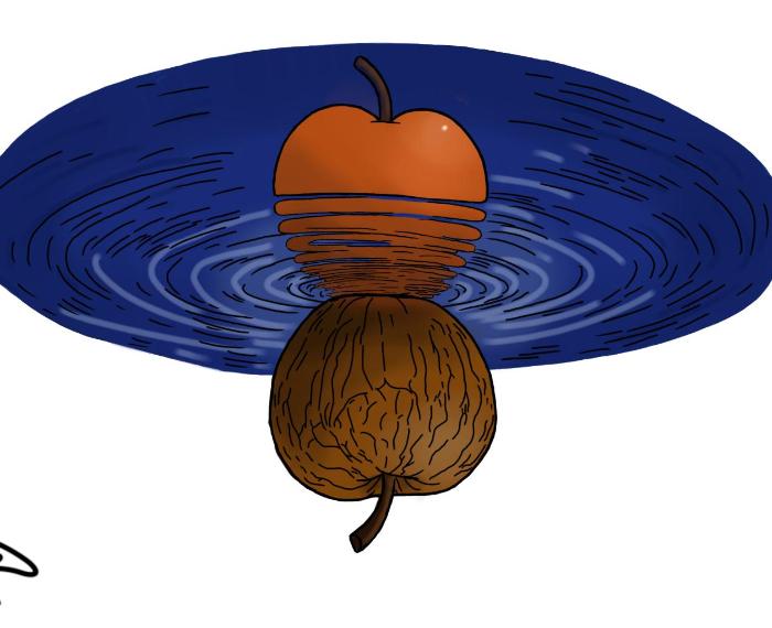 Dos estados, una manzana
