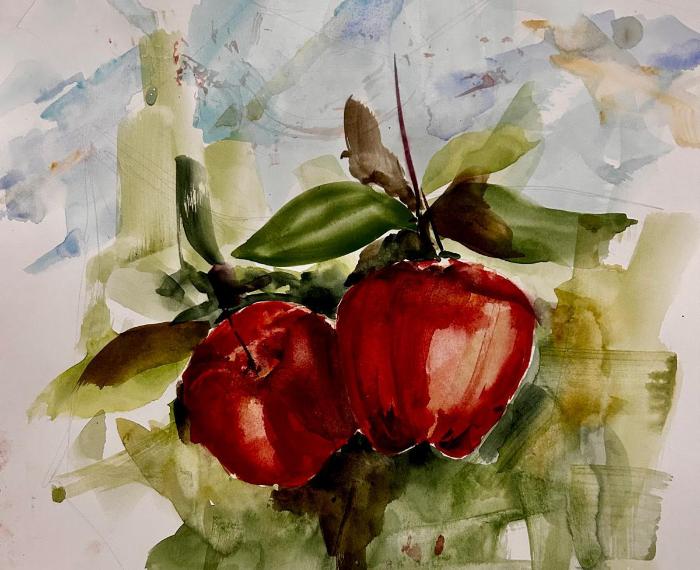 Herencia del sol y la montaña