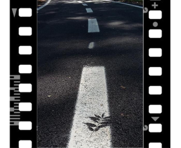 ...la natura lascia sempre la sua impronta.