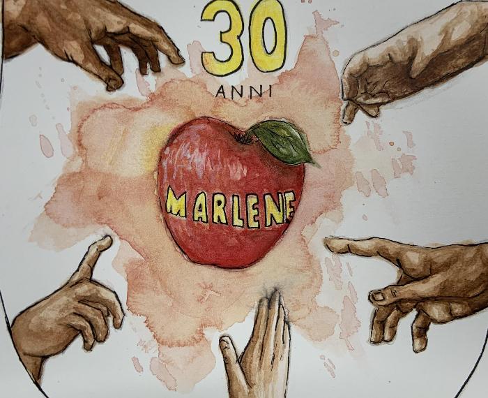 Anche Marlene é arte