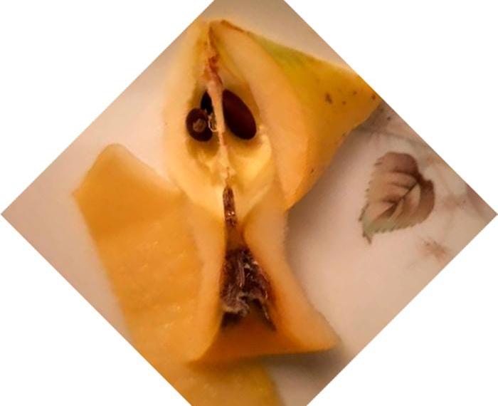 Anche le mele hanno un'anima