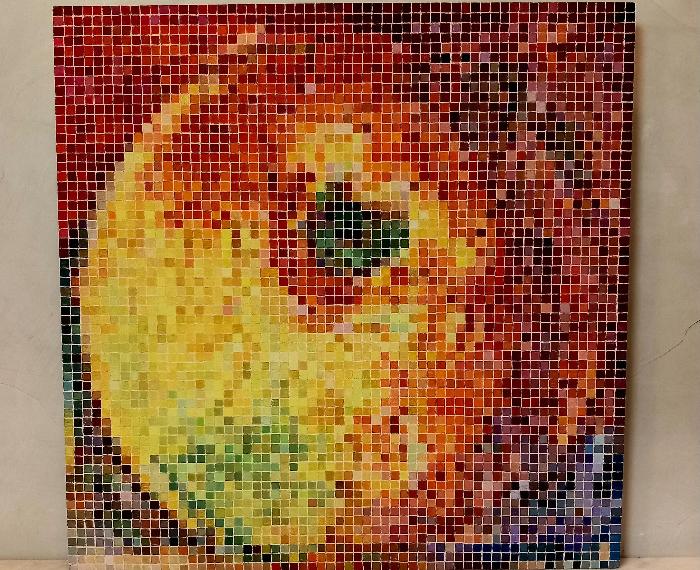 Una mela è una mela