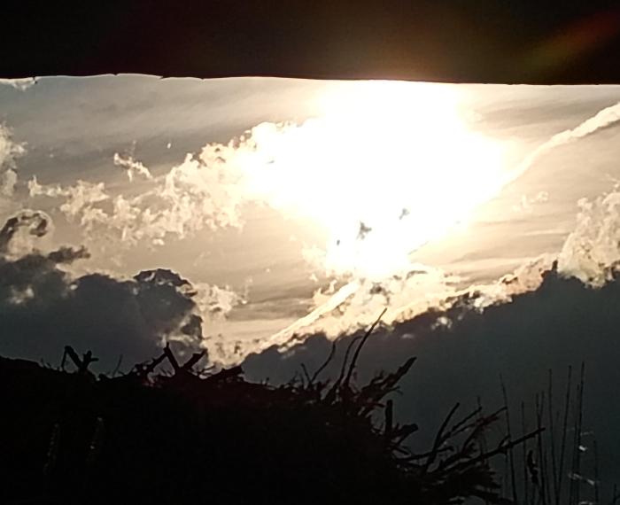 Mira en el cielo y saborea
