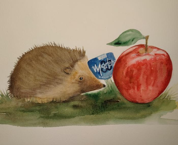 Il riccio e la mela