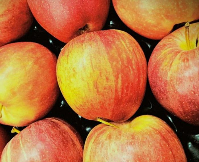 La semplicità della perfezione