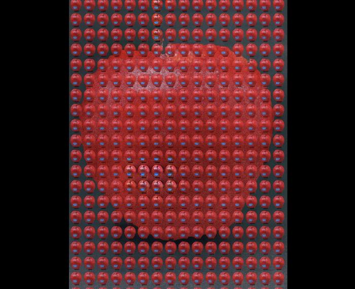 Il mondo nasce in una mela