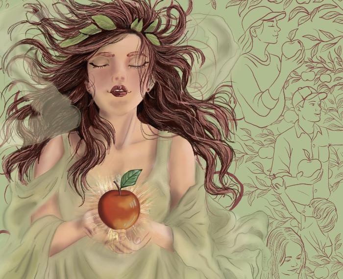 La gioia della raccolta