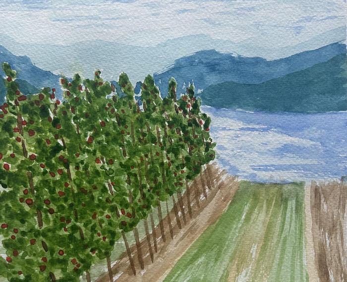 Epler i Hardanger (Apples in Hardanger)