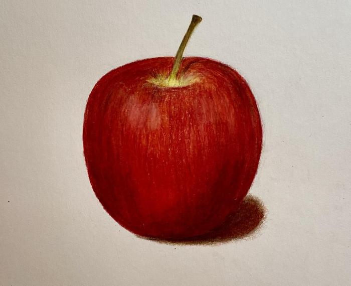 Drawing of Marlene apple from life using coloured pencils.