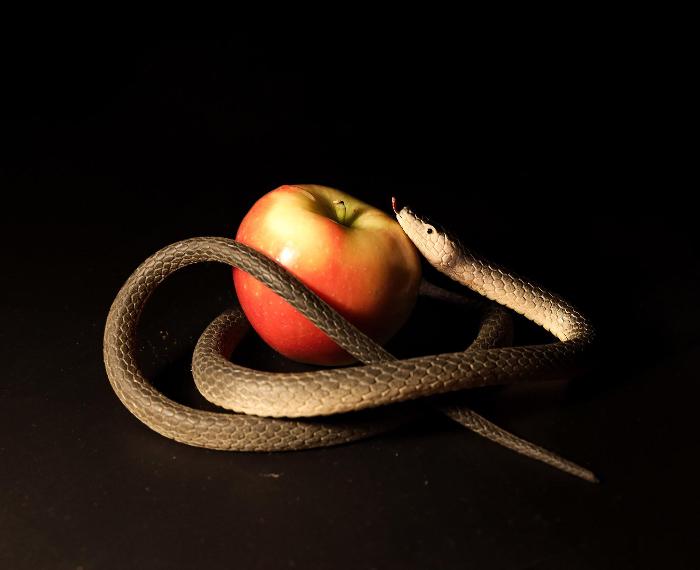 La prima  tentazione