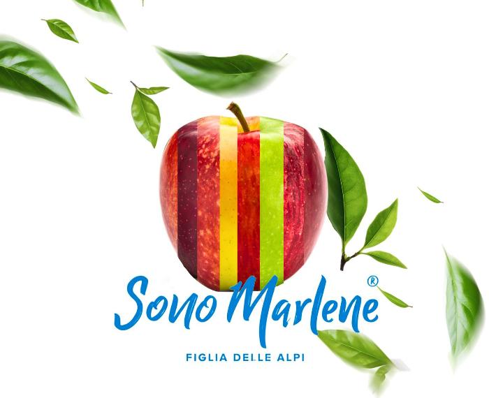 Le sette sfaccettature di Marlene